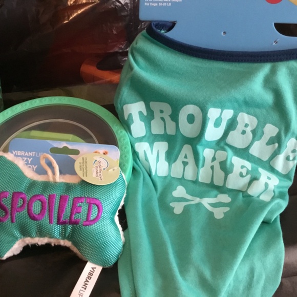 Halloween Boo Bucket for a small Dog - Picture 5 of 7